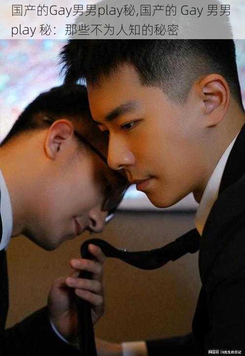 国产的Gay男男play秘,国产的 Gay 男男 play 秘：那些不为人知的秘密