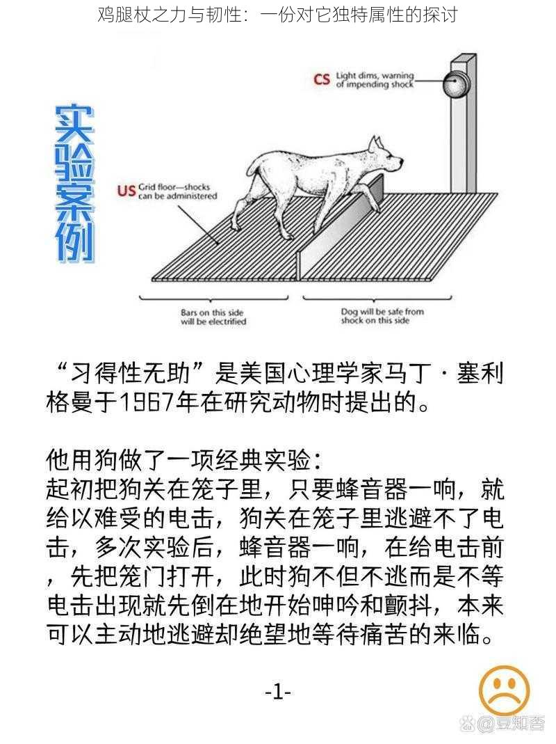 鸡腿杖之力与韧性：一份对它独特属性的探讨