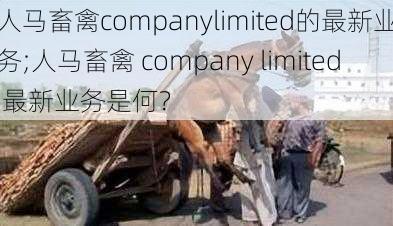 人马畜禽companylimited的最新业务;人马畜禽 company limited 最新业务是何？