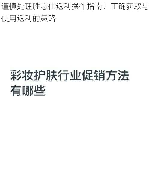 谨慎处理胜忘仙返利操作指南：正确获取与使用返利的策略