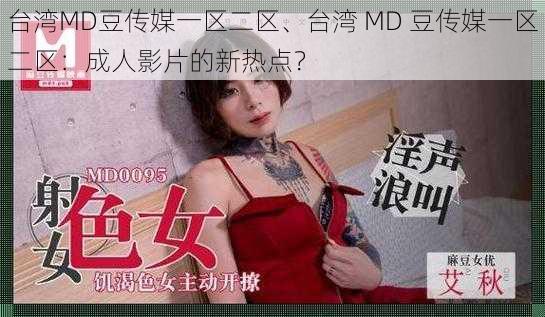 台湾MD豆传媒一区二区、台湾 MD 豆传媒一区二区：成人影片的新热点？