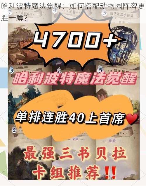 哈利波特魔法觉醒：如何搭配动物园阵容更胜一筹？