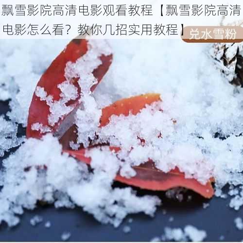 飘雪影院高清电影观看教程【飘雪影院高清电影怎么看？教你几招实用教程】