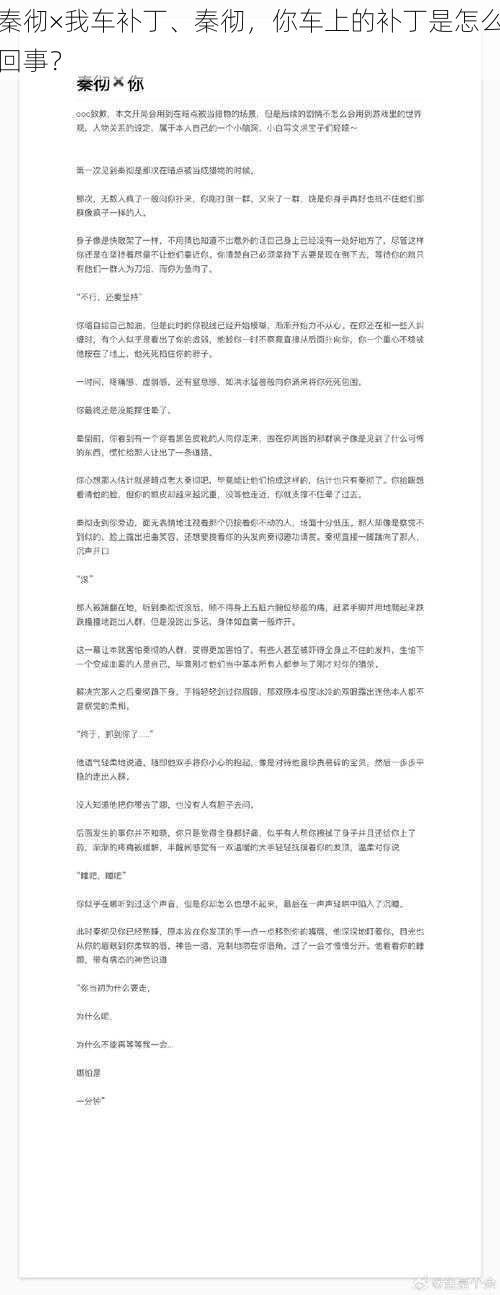 秦彻×我车补丁、秦彻，你车上的补丁是怎么回事？