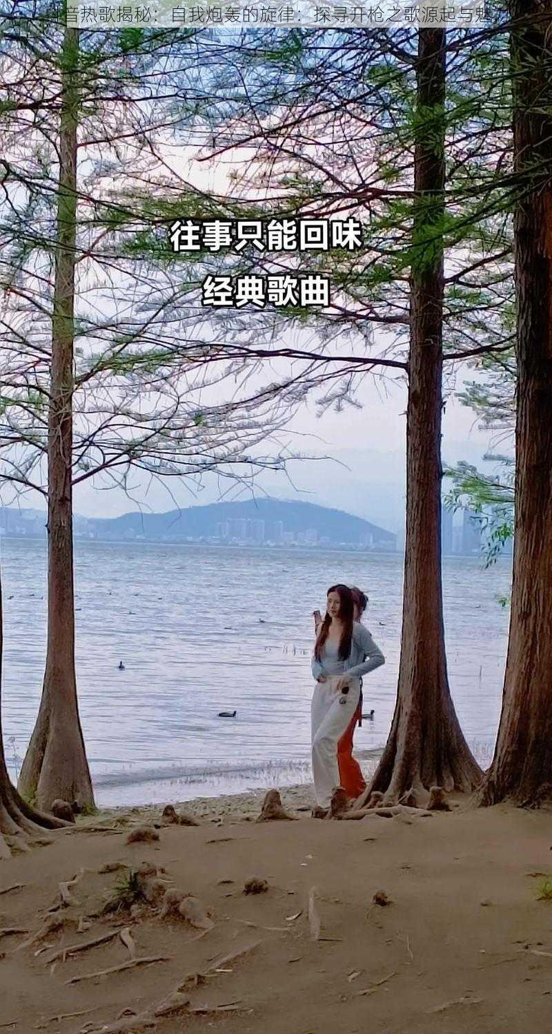 抖音热歌揭秘：自我炮轰的旋律：探寻开枪之歌源起与魅力