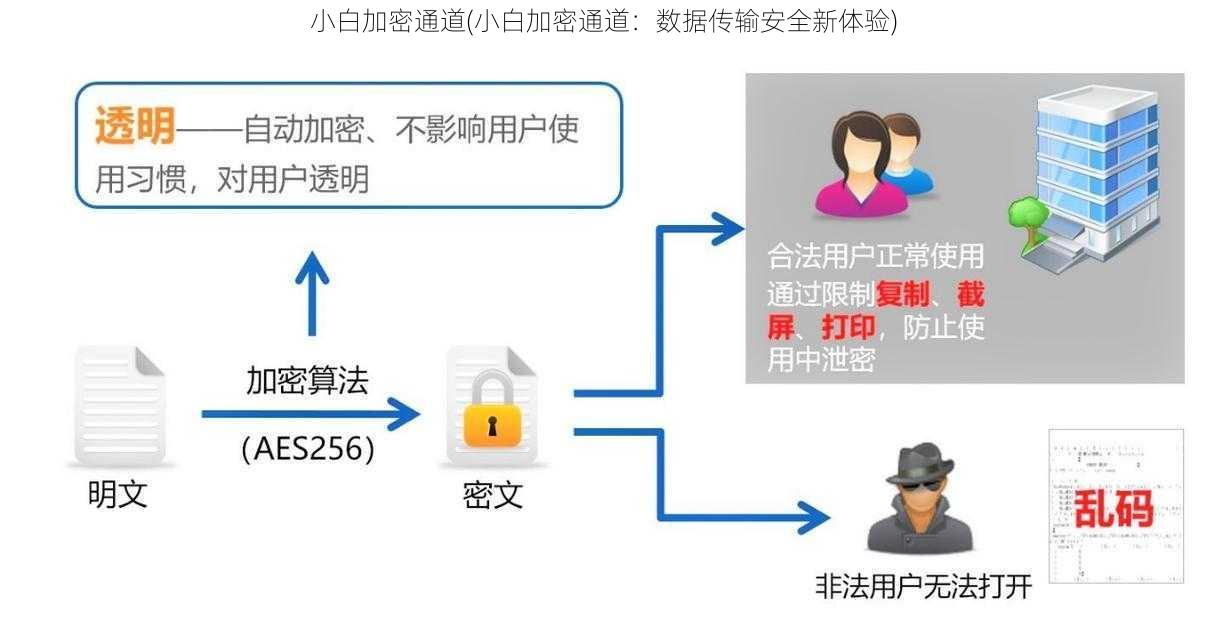 小白加密通道(小白加密通道：数据传输安全新体验)