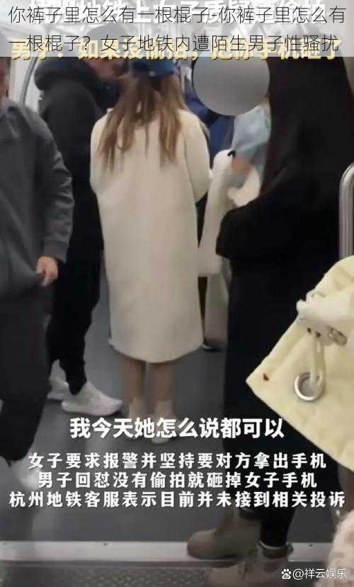 你裤子里怎么有一根棍子-你裤子里怎么有一根棍子？女子地铁内遭陌生男子性骚扰