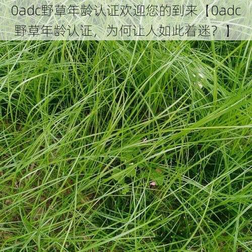 0adc野草年龄认证欢迎您的到来【0adc 野草年龄认证，为何让人如此着迷？】