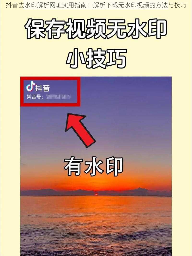 抖音去水印解析网址实用指南：解析下载无水印视频的方法与技巧