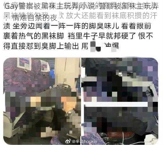 Gay警察被黑袜主玩弄j小说-警察被黑袜主玩弄：情难自禁的夜