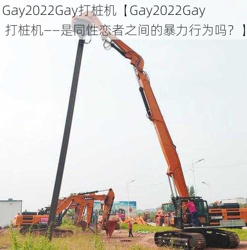 Gay2022Gay打桩机【Gay2022Gay 打桩机——是同性恋者之间的暴力行为吗？】