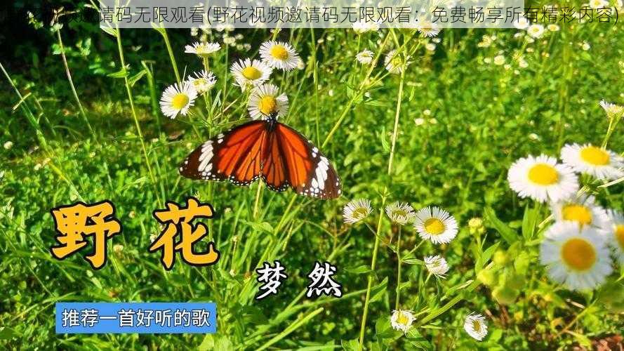 野花视频邀请码无限观看(野花视频邀请码无限观看：免费畅享所有精彩内容)