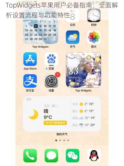 TopWidgets苹果用户必备指南：全面解析设置流程与功能特性