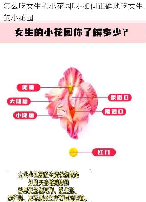 怎么吃女生的小花园呢-如何正确地吃女生的小花园