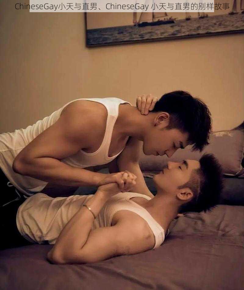 ChineseGay小天与直男、ChineseGay 小天与直男的别样故事