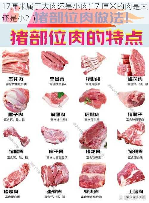 17厘米属于大肉还是小肉(17 厘米的肉是大还是小？)