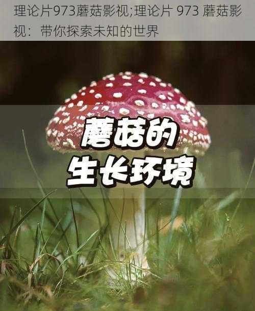 理论片973蘑菇影视;理论片 973 蘑菇影视：带你探索未知的世界