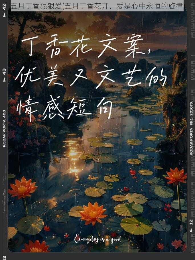 五月丁香狠狠爱(五月丁香花开，爱是心中永恒的旋律)