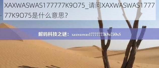 XAXWASWAS177777K9O75_请问XAXWASWAS177777K9O75是什么意思？