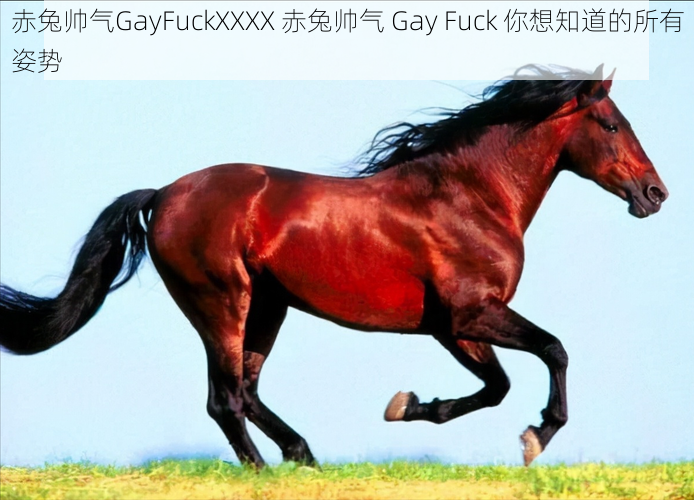 赤兔帅气GayFuckXXXX 赤兔帅气 Gay Fuck 你想知道的所有姿势