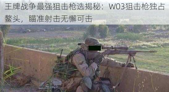 王牌战争最强狙击枪选揭秘：W03狙击枪独占鳌头，瞄准射击无懈可击