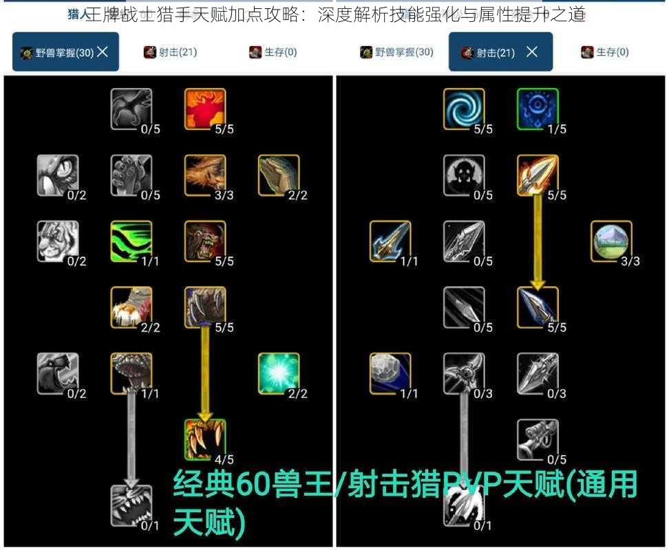 王牌战士猎手天赋加点攻略：深度解析技能强化与属性提升之道