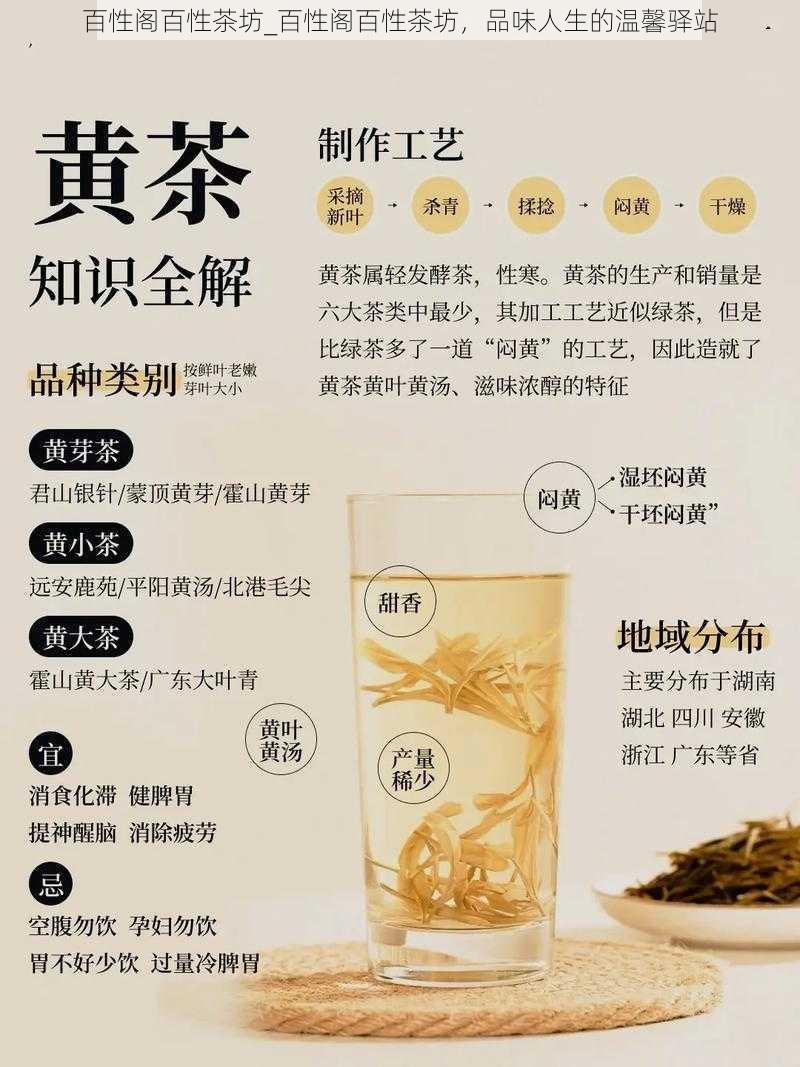 百性阁百性茶坊_百性阁百性茶坊，品味人生的温馨驿站