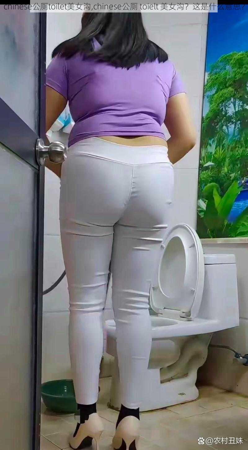 chinese公厕toilet美女沟,chinese公厕 toielt 美女沟？这是什么意思？