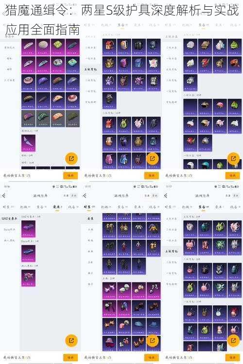 猎魔通缉令：两星S级护具深度解析与实战应用全面指南