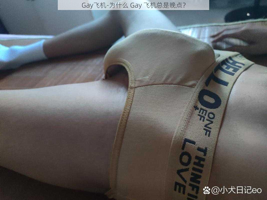 Gay飞机-为什么 Gay 飞机总是晚点？