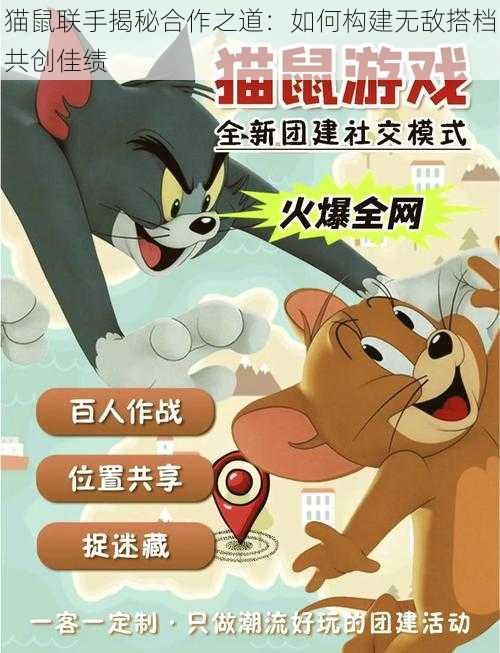 猫鼠联手揭秘合作之道：如何构建无敌搭档共创佳绩