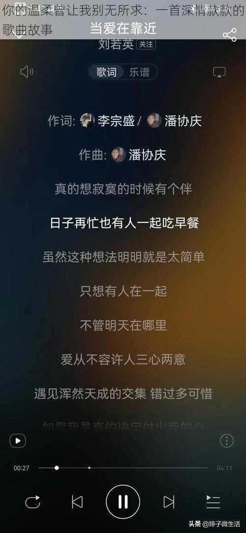 你的温柔曾让我别无所求：一首深情款款的歌曲故事