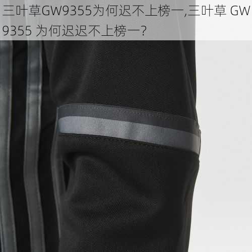 三叶草GW9355为何迟不上榜一,三叶草 GW9355 为何迟迟不上榜一？