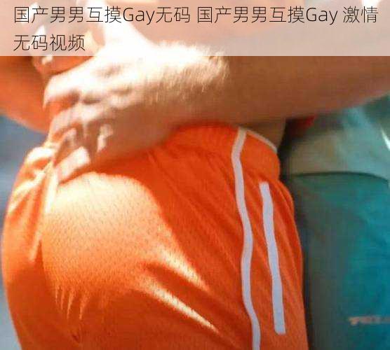 国产男男互摸Gay无码 国产男男互摸Gay 激情无码视频