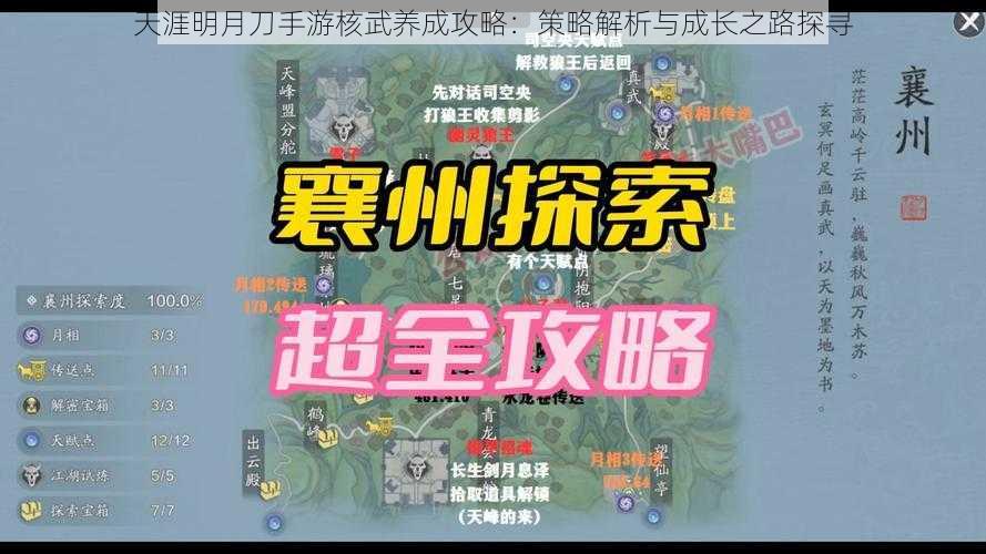 天涯明月刀手游核武养成攻略：策略解析与成长之路探寻