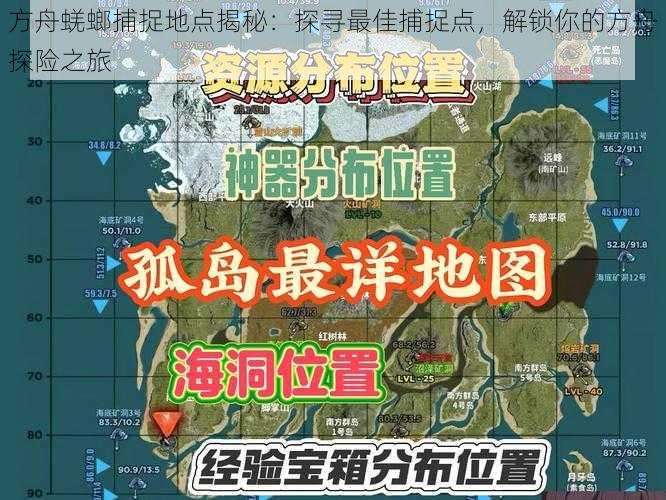 方舟蜣螂捕捉地点揭秘：探寻最佳捕捉点，解锁你的方舟探险之旅