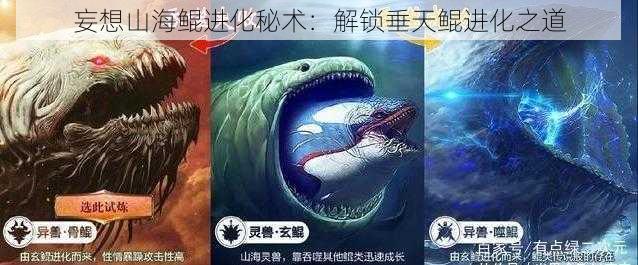 妄想山海鲲进化秘术：解锁垂天鲲进化之道