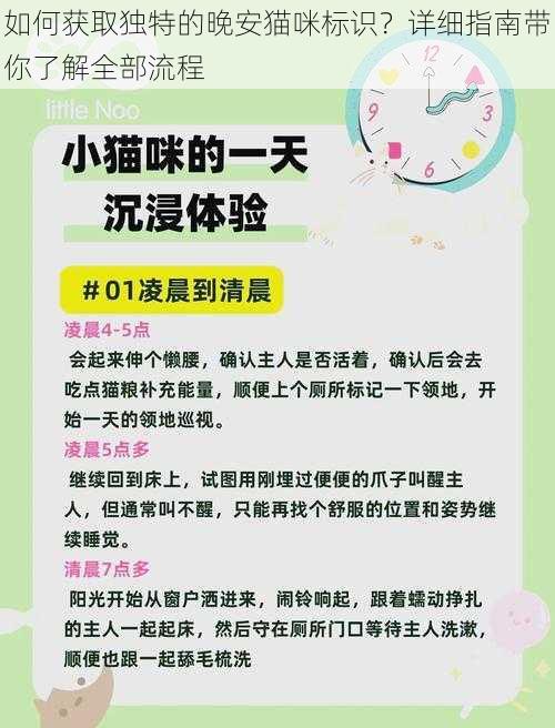 如何获取独特的晚安猫咪标识？详细指南带你了解全部流程