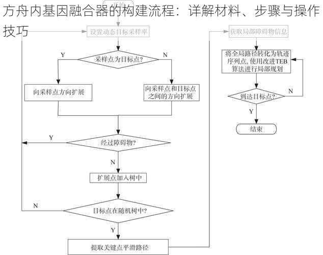 方舟内基因融合器的构建流程：详解材料、步骤与操作技巧