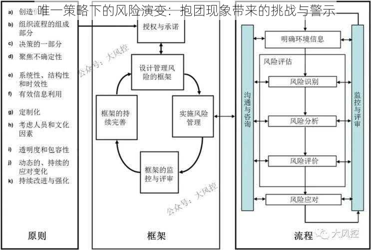 唯一策略下的风险演变：抱团现象带来的挑战与警示