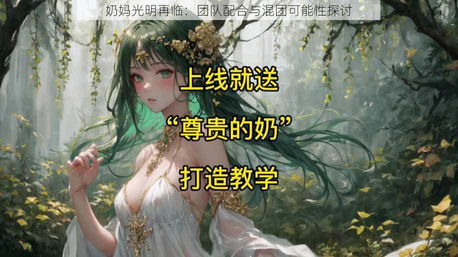 奶妈光明再临：团队配合与混团可能性探讨