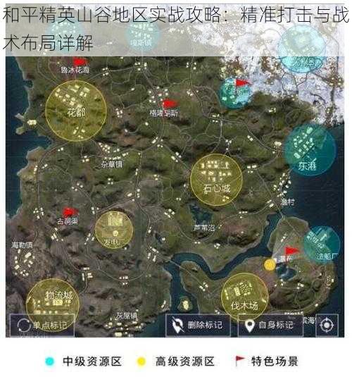 和平精英山谷地区实战攻略：精准打击与战术布局详解