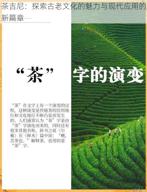 茶吉尼：探索古老文化的魅力与现代应用的新篇章