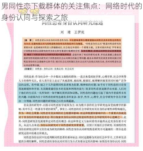 男同性恋下载群体的关注焦点：网络时代的身份认同与探索之旅