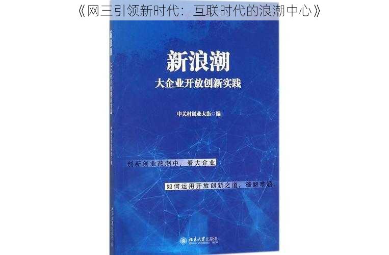 《网三引领新时代：互联时代的浪潮中心》